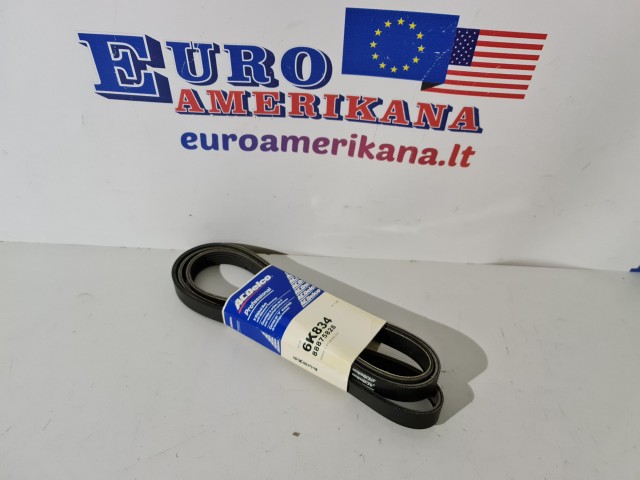 Belt